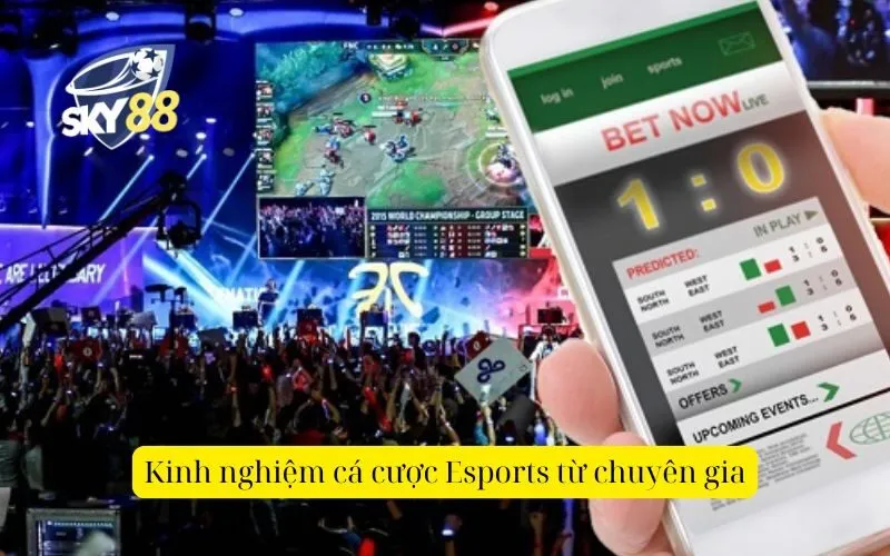 Kinh nghiệm cá cược Esports từ chuyên gia